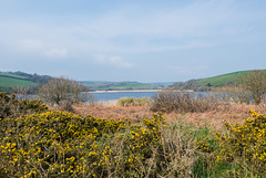 Slapton Leigh - 20140326