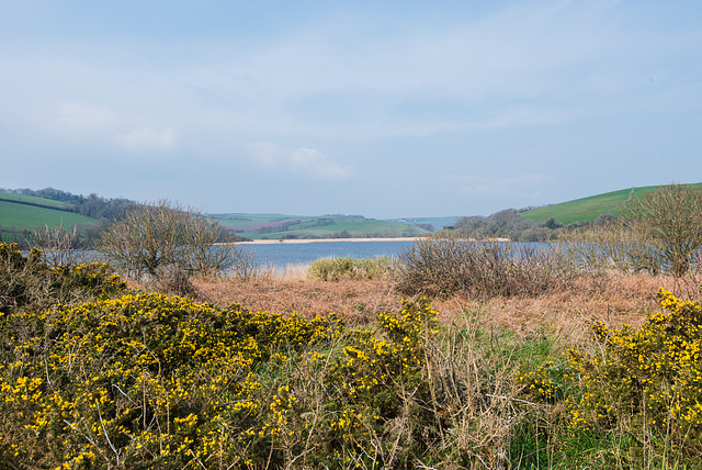 Slapton Leigh - 20140326