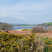 Slapton Leigh - 20140326