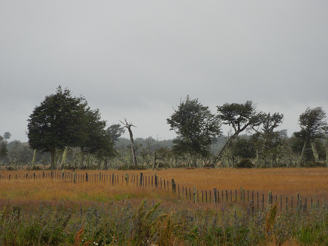 typical Patagonian roadside