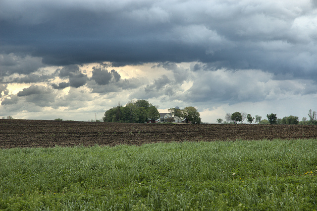 farm scene, spring