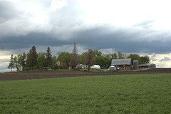 farm scene, spring