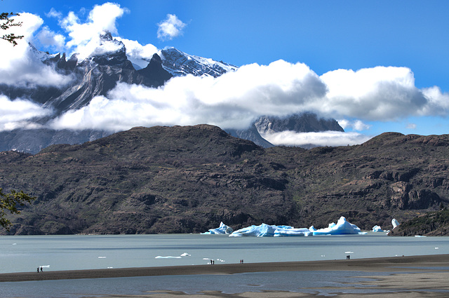 Lago Grey, with icebergs