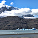 Lago Grey, with icebergs