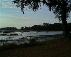 Evening view over the marsh