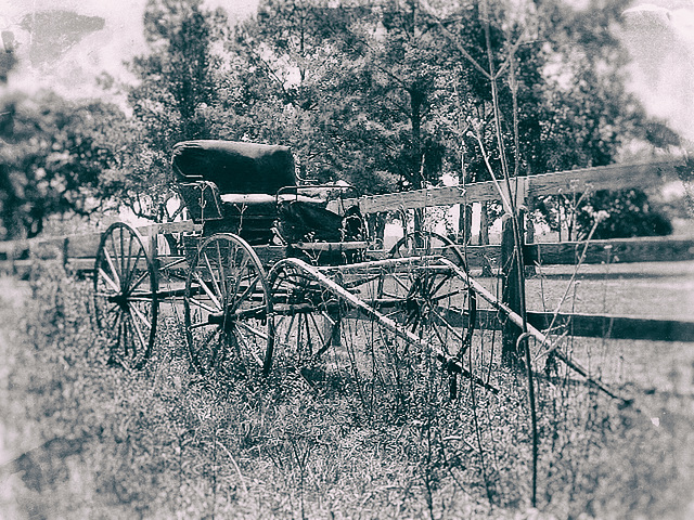 Chelsea Buggy  (Wet Plate)
