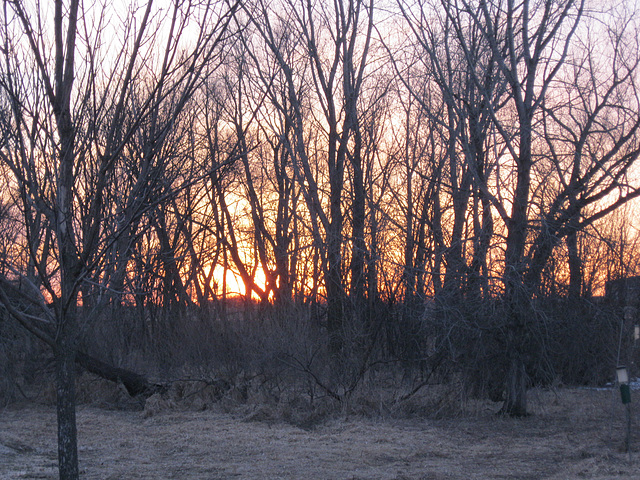 March, late sun