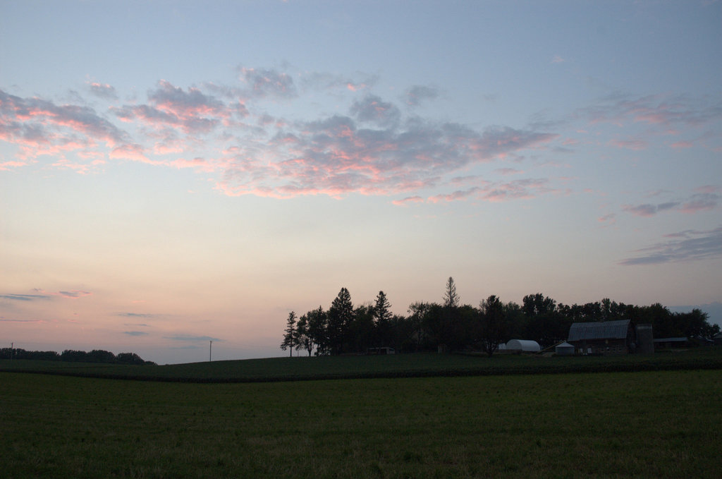 summer evening