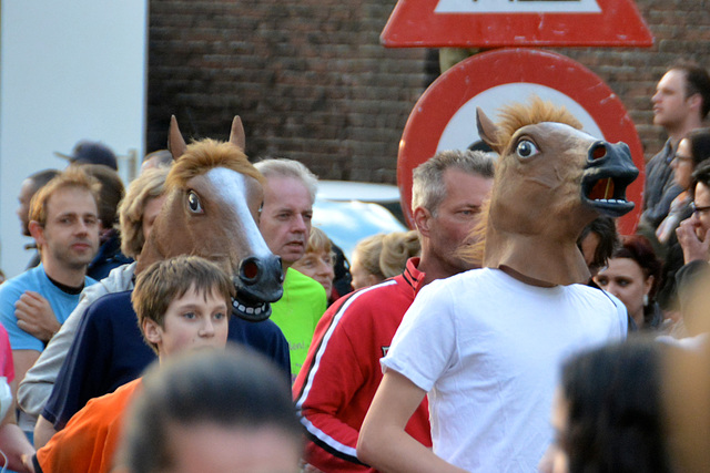 Singelloop 2014 – Horses