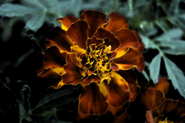 texturized marigold