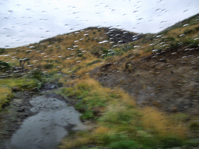 leaving Torres del Paine