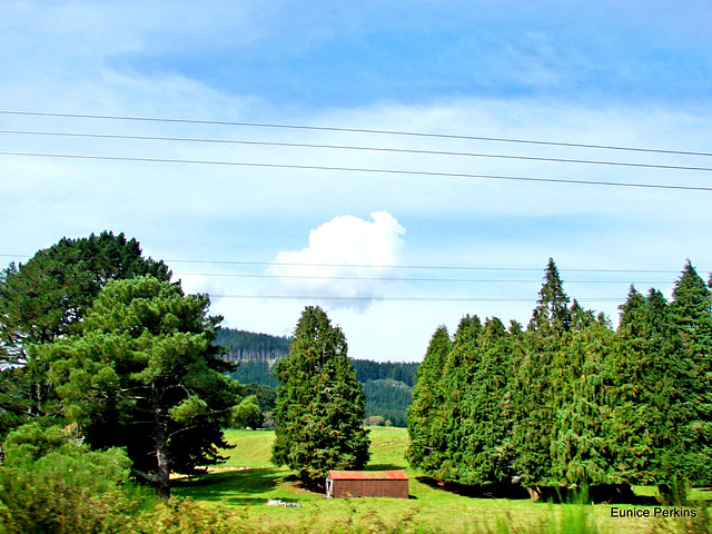 South Waikato View