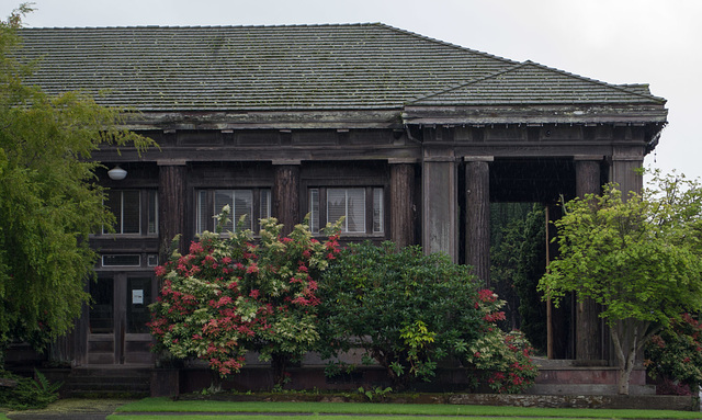 Scotia (redwood) Museum (1667)