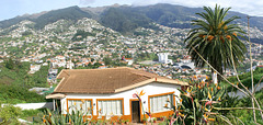 Funchal. Blick in die Berge. ©UdoSm