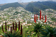 Funchal.  ©UdoSm