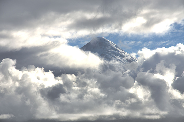 Osorno, being coy