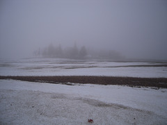 foggy farmscape