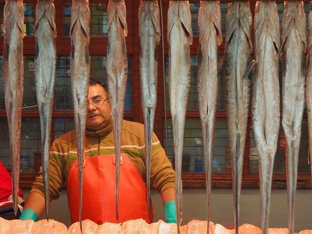 fish market, Puerto Montt