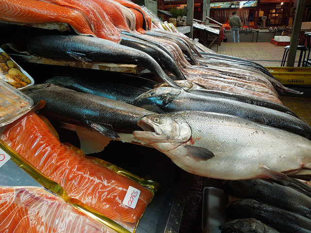 Fish Market, Puerto Montt