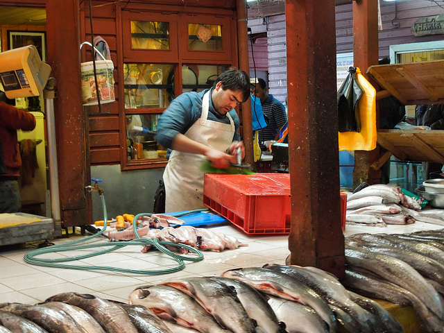 Fish Market, Puerto Montt