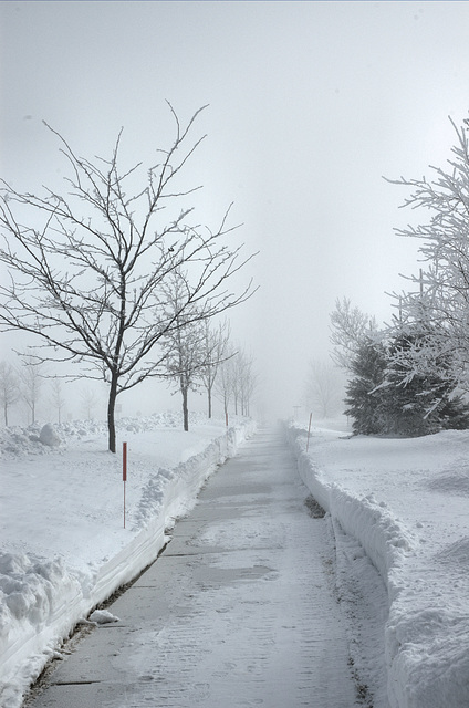 white morning street