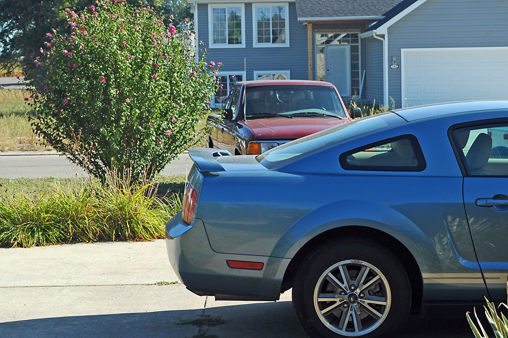 Pony and Pickup