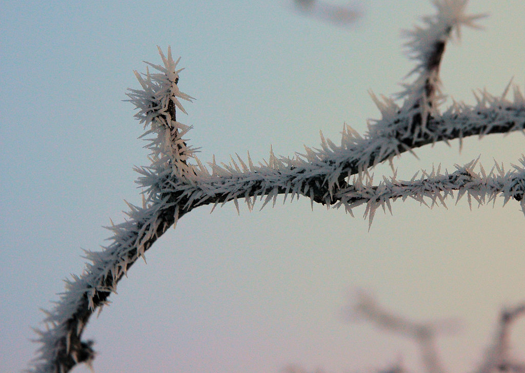 rime