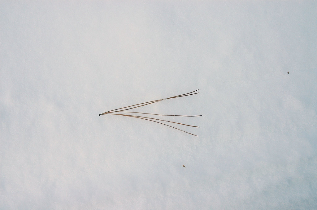 found object ii