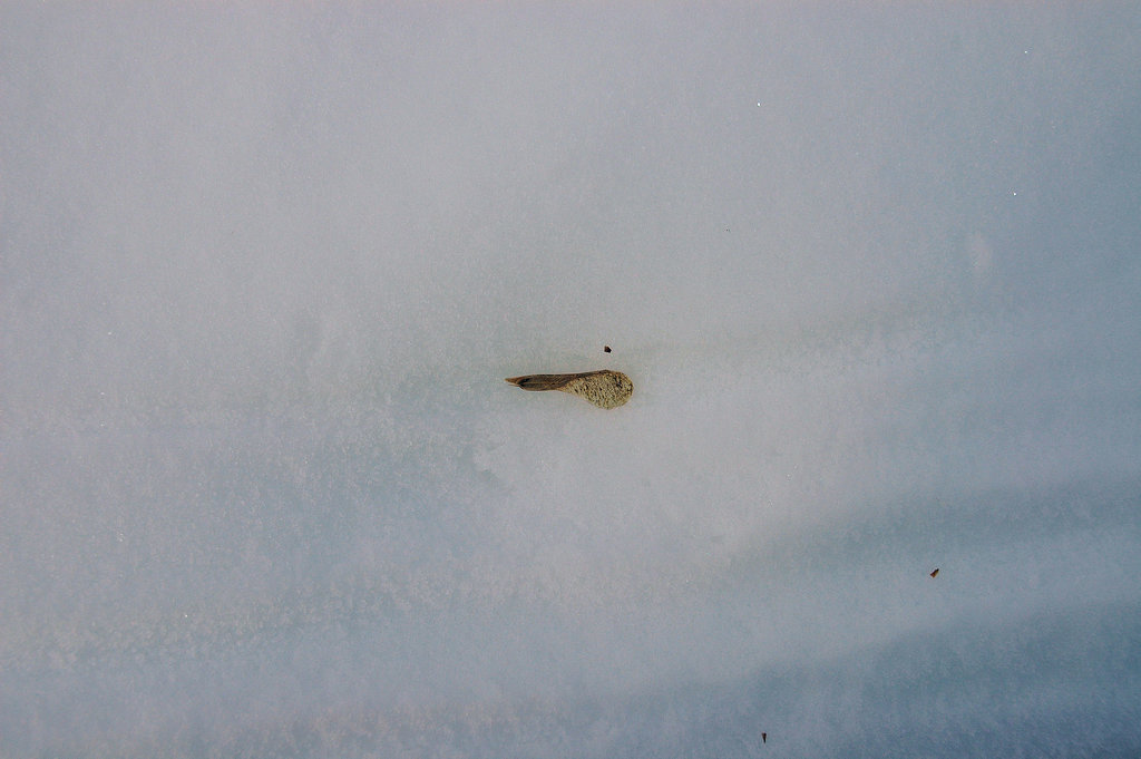 found object
