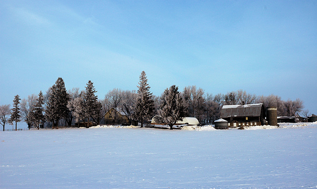 The farm across the road