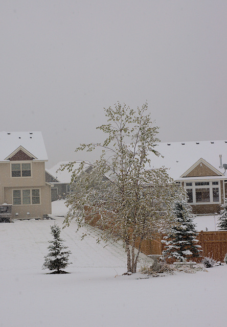 First real snow of the season