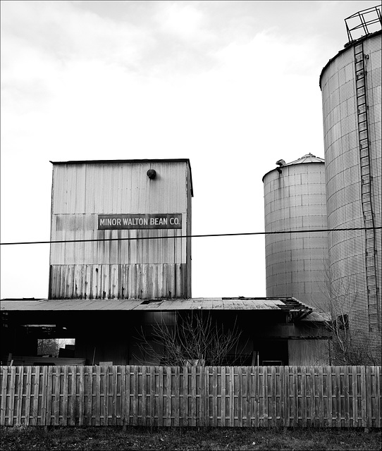 Minor Walton Bean Co
