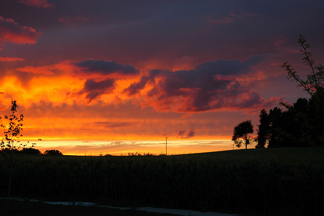 Between storms