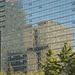 Beijing reflections