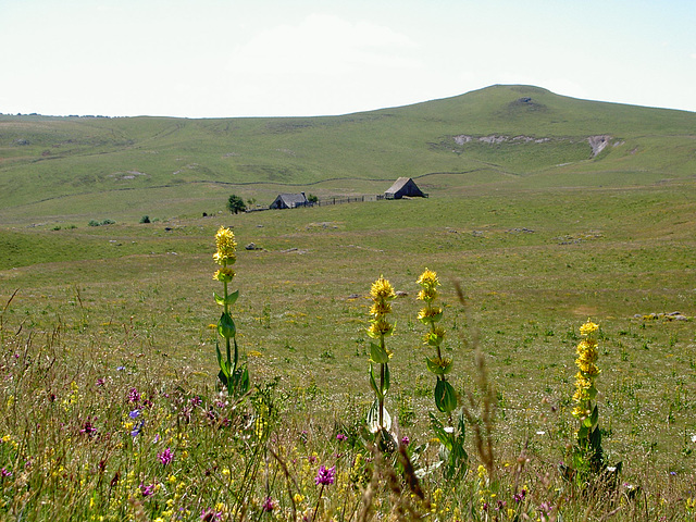 LOZERE Village et fermes (14)