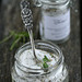 Ürdisool / Herb salt
