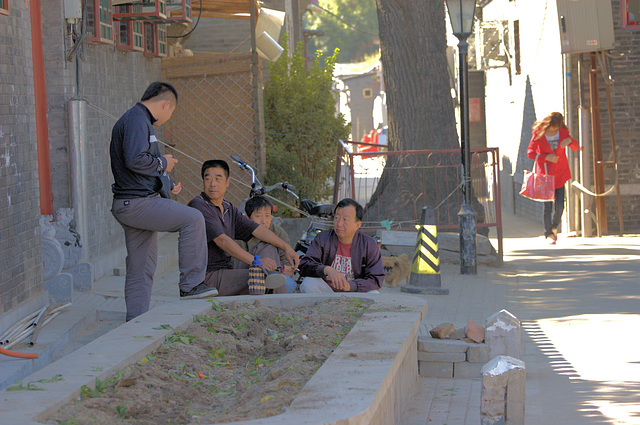 neighborhood gathering