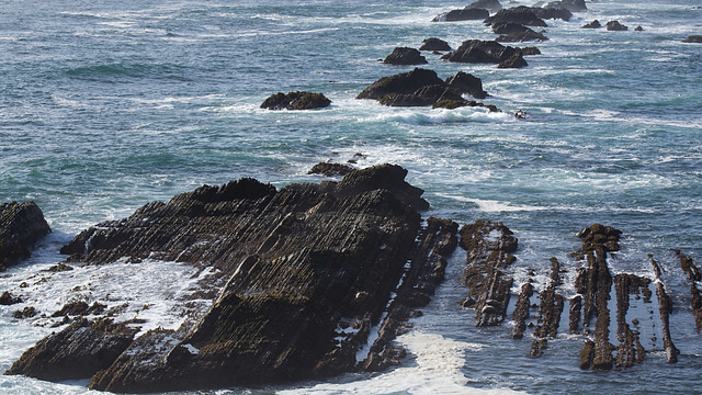 Point Arena geology (1596)