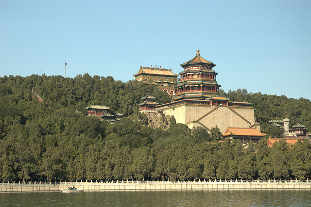 Longevity Hill