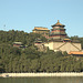 Longevity Hill