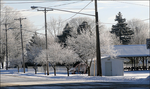 Frosted Everything