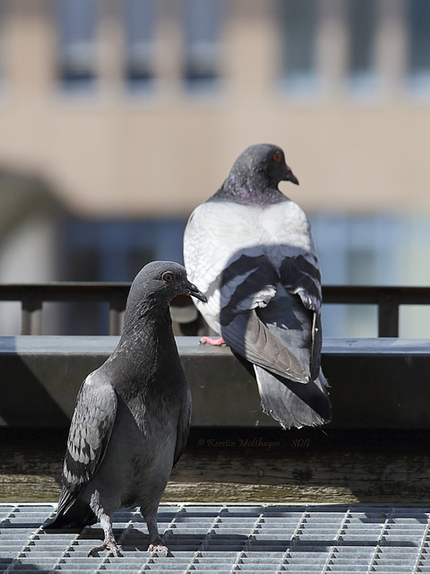 Elternteil und Kind am 6. 5. 2014