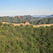 Wall, from afar