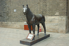 horse, Xi'an city wall