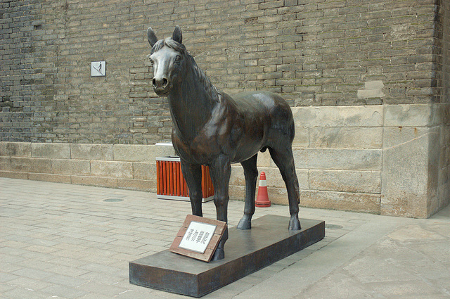 horse, Xi'an city wall