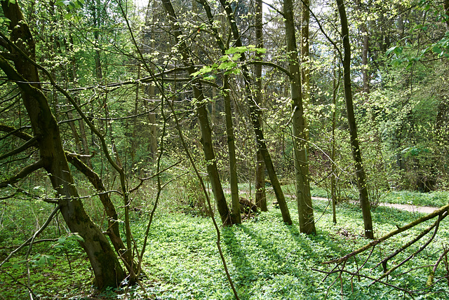 wald-1180544-co-13-04-14