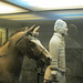 cavalryman and horse
