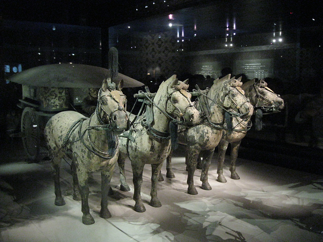 chariot horses