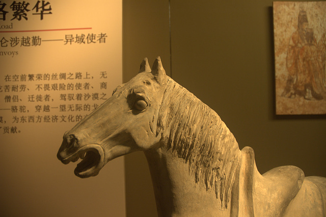 Ceramics in the Shaanxi Museum