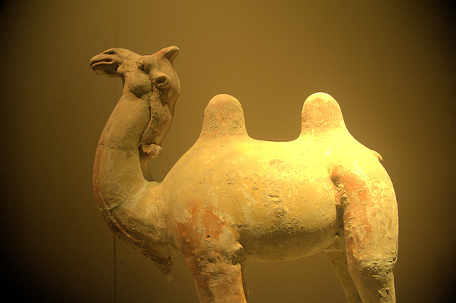 Ceramics in the Shaanxi Museum